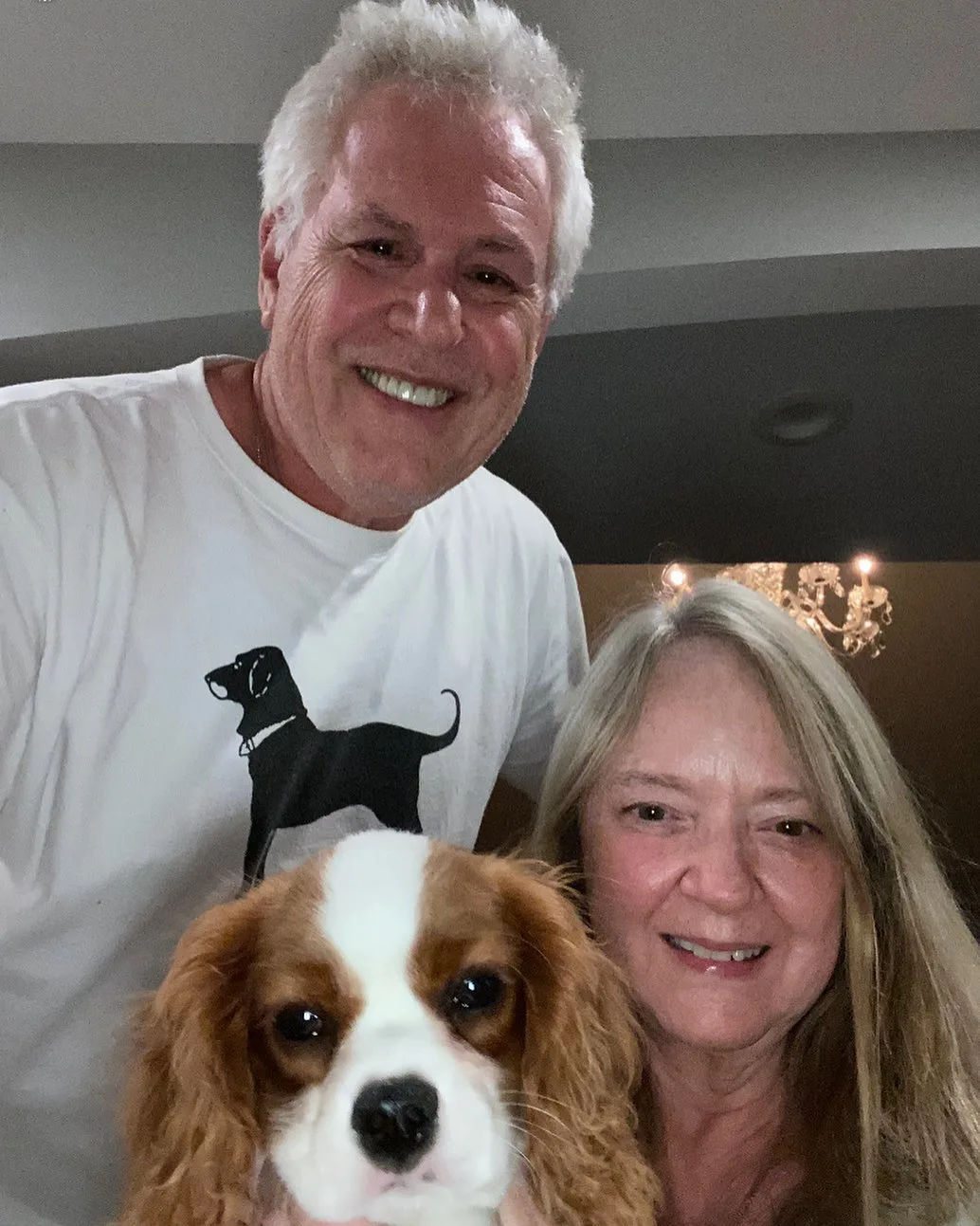 cavaliers of healdsburg 1630069357 2649536260919376081 1137419256